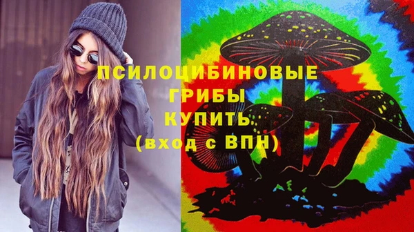 MDMA Premium VHQ Гусиноозёрск