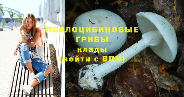 скорость mdpv Гусев