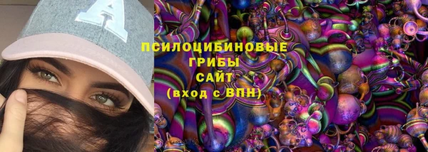 прущий лед Гусь-Хрустальный