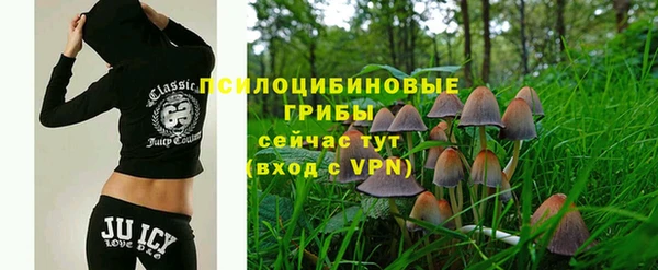 MDMA Premium VHQ Гусиноозёрск