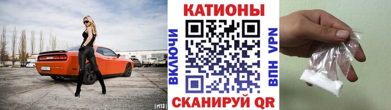 Купить где  Хасавюрт  МЯУ-МЯУ мяу мяу 