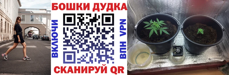 Конопля конопля  Купить где  Хасавюрт 